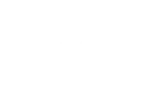Party